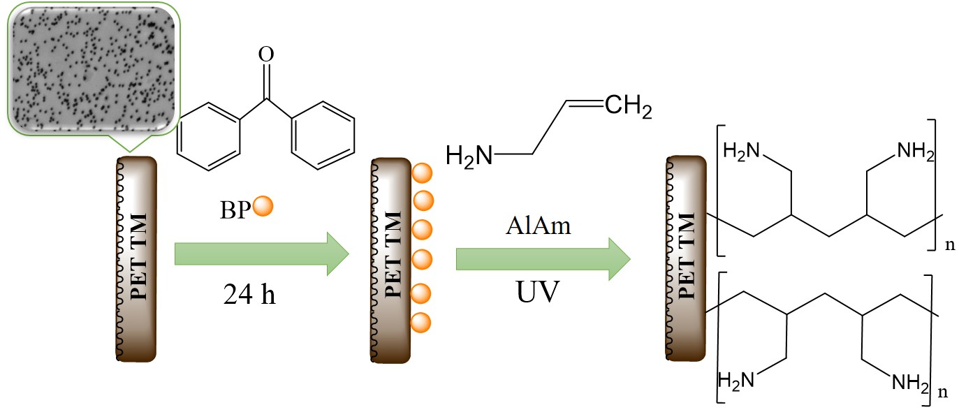 Scheme of modification of PET TM