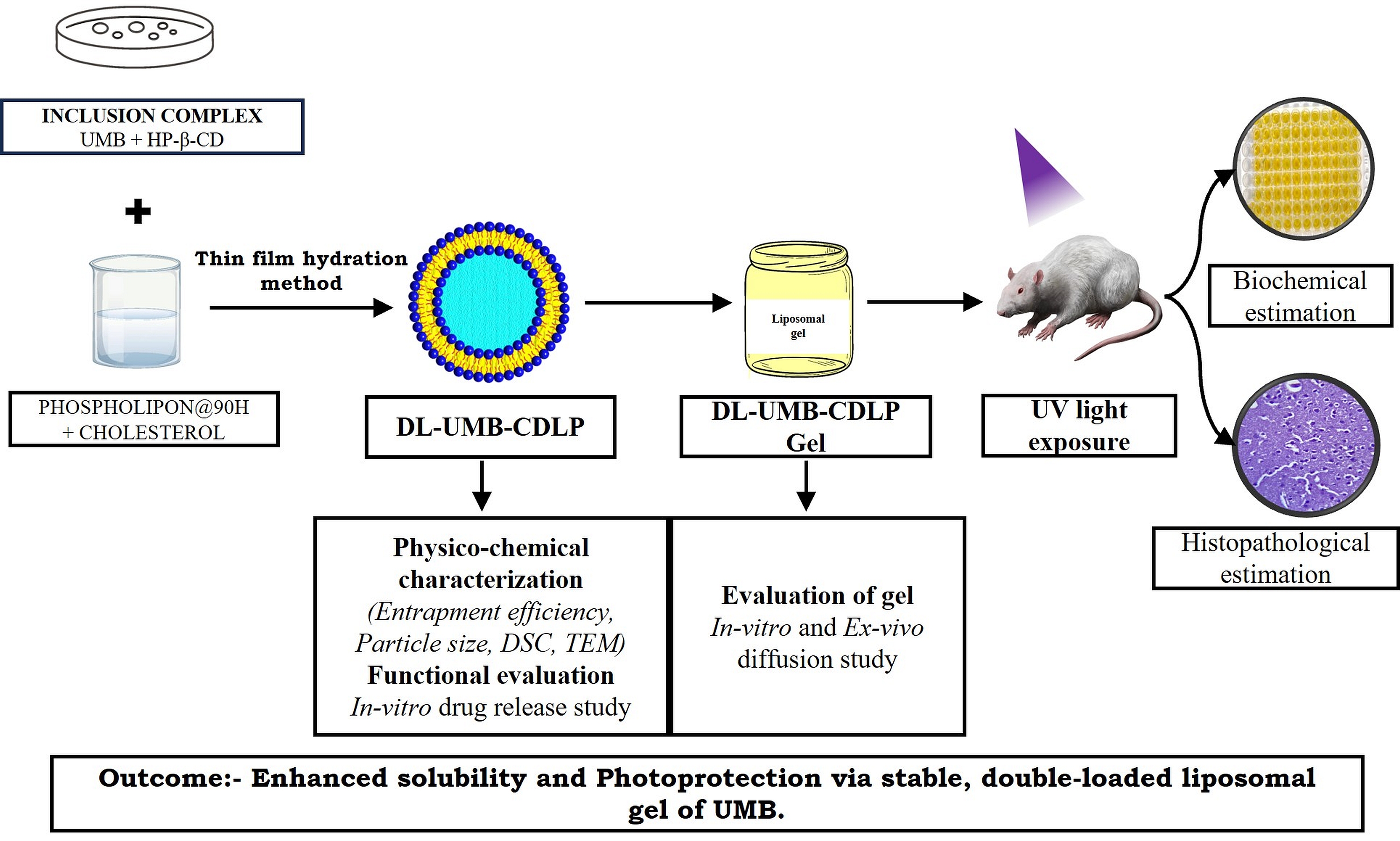 Double-Loaded Liposomes Encasing Umbelliferone in Hydroxypropyl-β-Cyclodextrin Inclusion Complexes: Formulation, Characterisation and Investigation of Photoprotective Activity