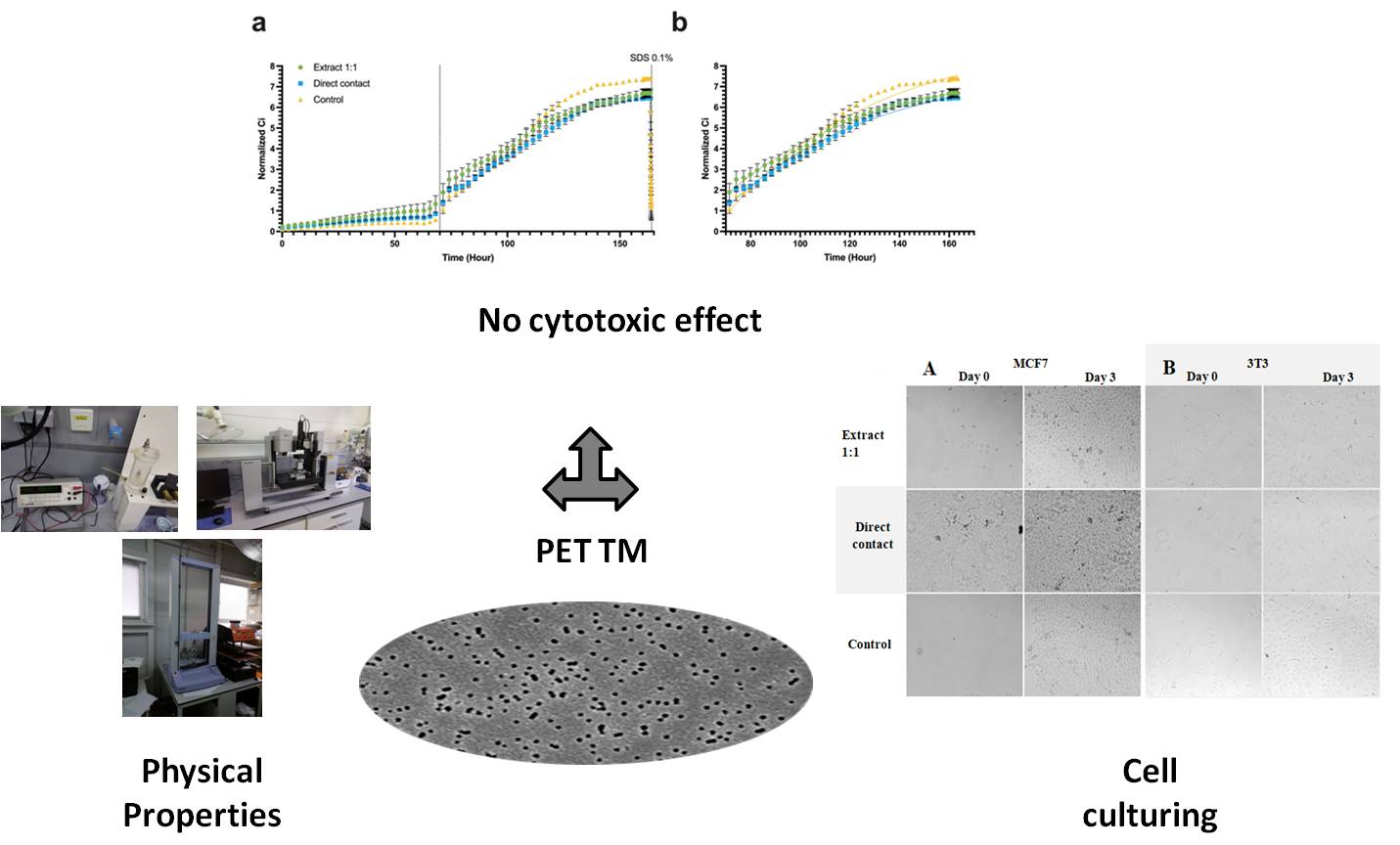 Biological Compatibility of Polyethylene Terephthalate Track Membranes: Growth, Proliferation, and Viability of Cells in Culture Systems