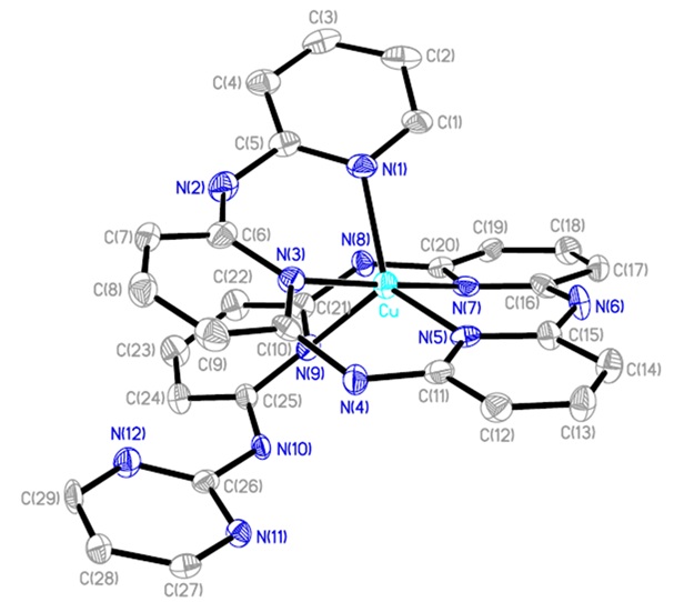 The molecular structure of [Cu(H5N11-tpm)](ClO4)2 1