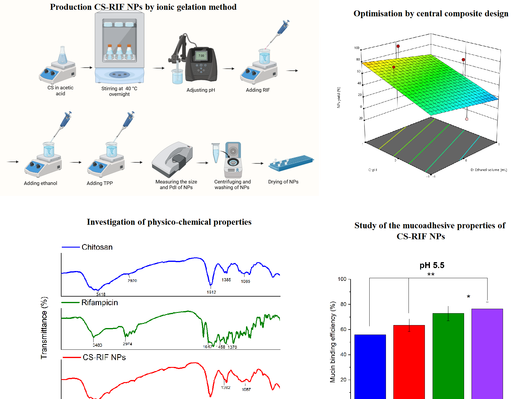 Rifampicin Loaded Chitosan-Based Nanoparticles: Optimization, Characterization, and Mucoadhesion