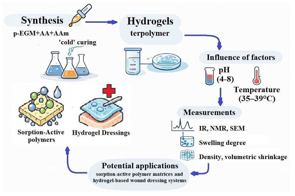 Influence of External Factors on the Behavior of Polymer Materials Based on Polyethylene Glycol Maleate