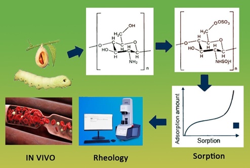 Structural Characteristics, Stability, and Anticoagulant Activity of Bombyx mori Chitosan Sulfate
