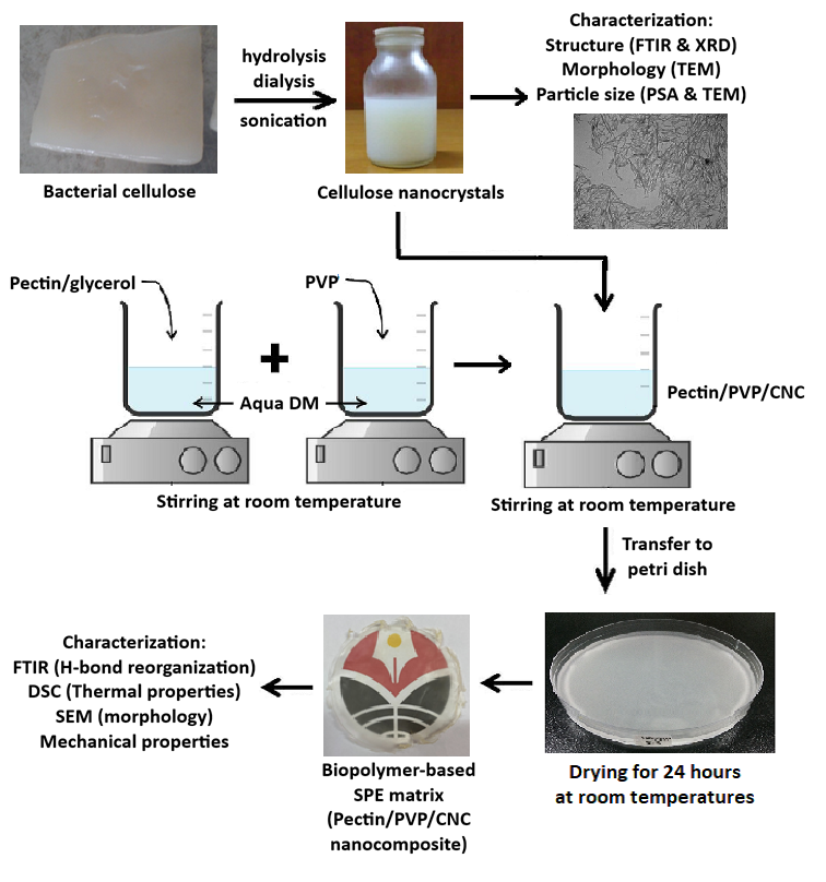 Biopolymer-Based Pectin/PVP/CNC Nanocomposites  as Sustainable Matrices for Solid Polymer Electrolyte Systems