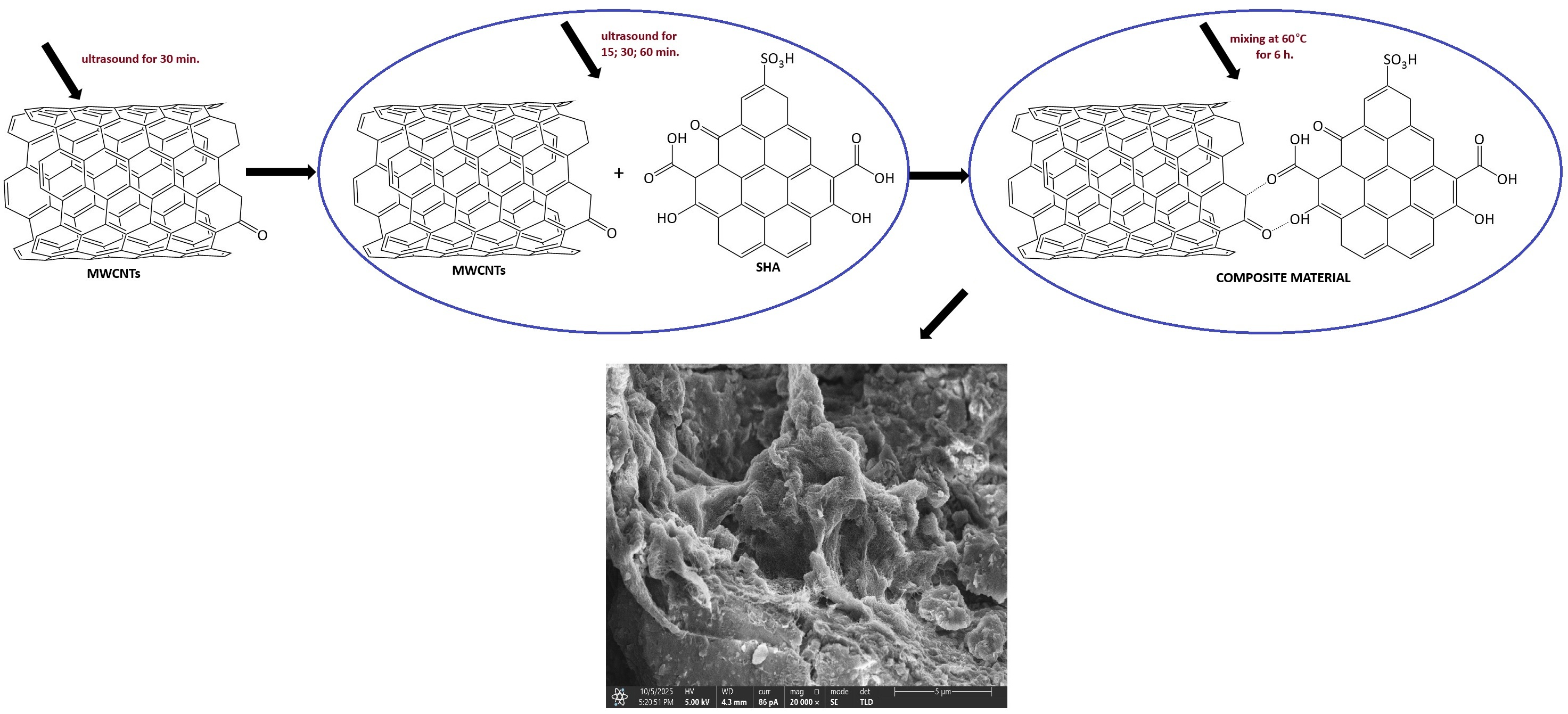 Synthesis and Study of the Properties of a Composite Material  Based on Sulfohumic Acid and Multi-Walled Carbon Nanotubes