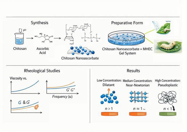 Rheological Properties of the Polymeric Preparative Form of Chitosan Nanoascorbate from Bombyx mori