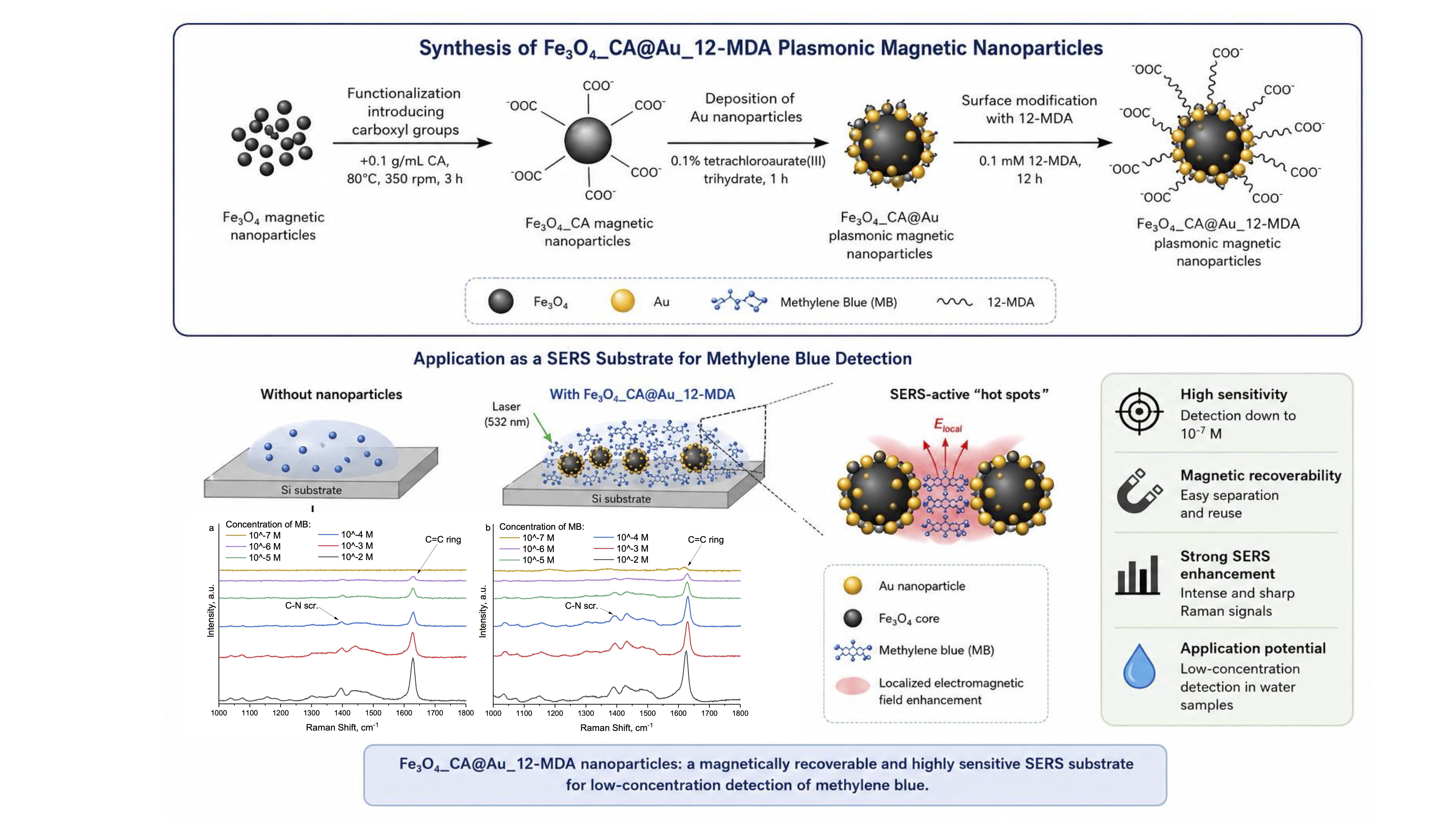 Surface-Enhanced Raman Detection of Low-Concentration Methylene Blue Using Nanoparticles Functionalized with 12-Mercaptododecanoic Acid