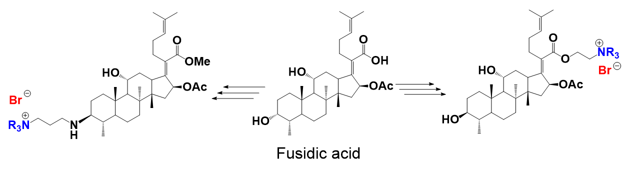 Synthesis of Amphiphilic Derivatives of Fusidane Triterpenoids
