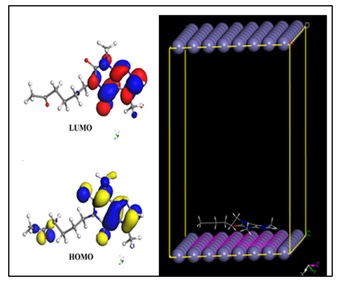 Experimental and Theoretical Evaluation of Pentoxifylline as a Sustainable Corrosion Inhibitor for Medium Carbon Steel in HCl